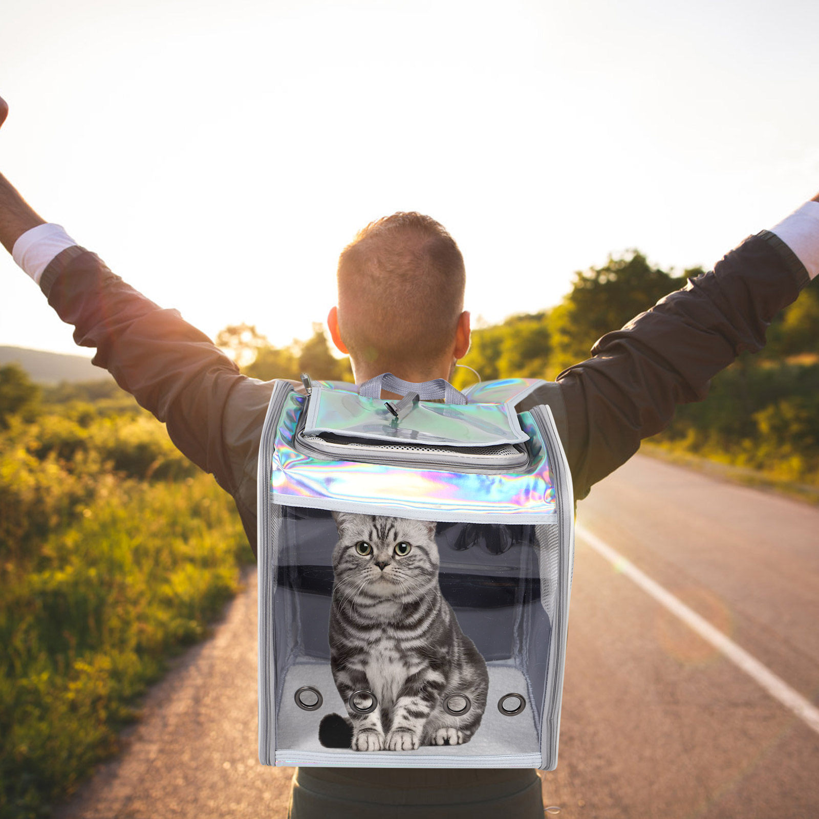 Spacious Foldable Pet Backpack - Foldable Backpack Small avis et prix