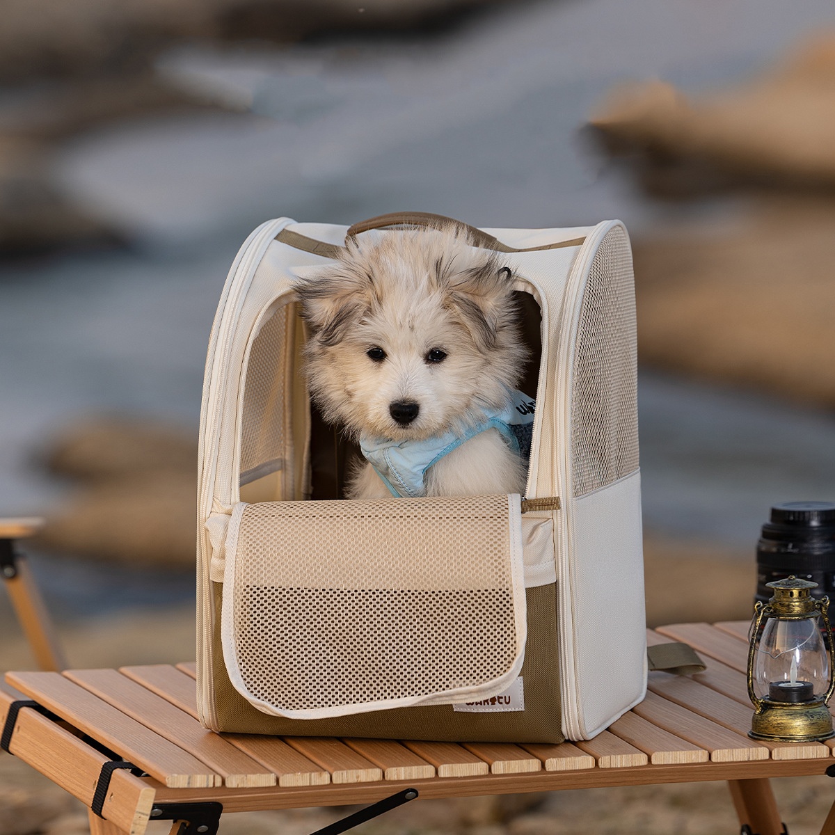 Pet Carrier Backpack Breathabl - Foldable Backpack Small avis et prix